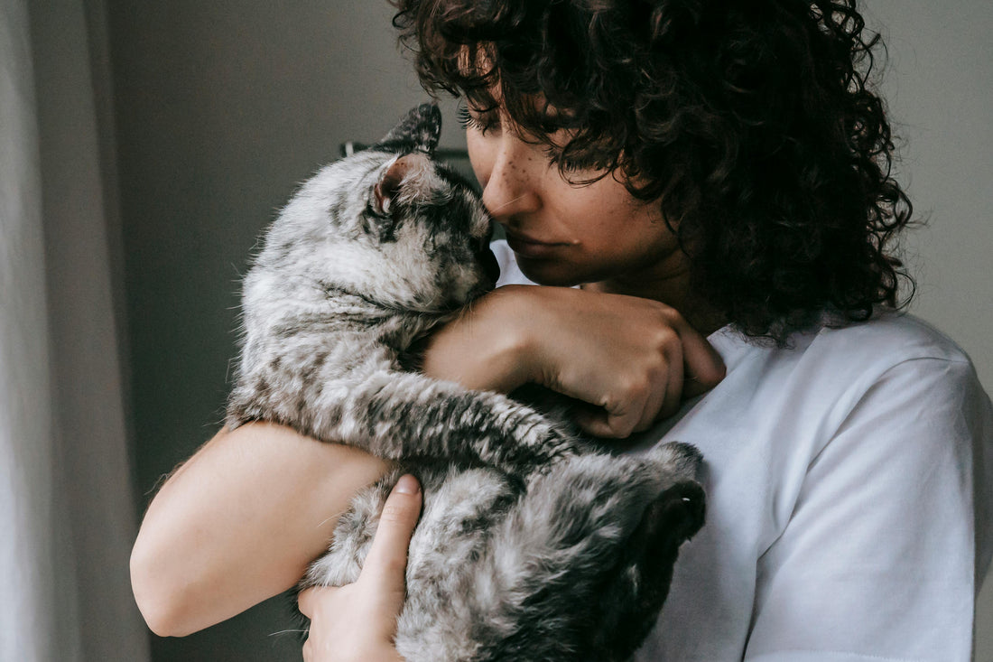 This heartwarming image features a woman with curly hair lovingly cradling a gray cat in her arms. The woman gently presses her forehead against the cat's, creating an intimate and affectionate moment.